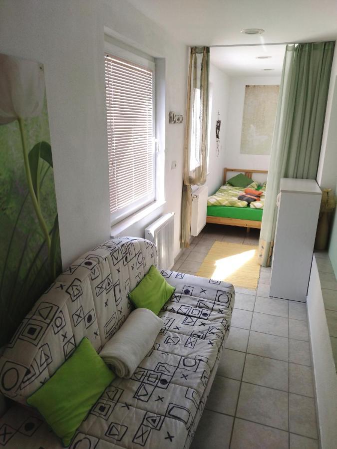 Apartma Peter1A Begunje na Gorenjskem Exterior foto